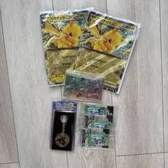 JR東日本　ポケモンメガスタンプラリー　2025景品