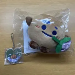 一番くじ bt21 GIFT Ｃ賞 L賞