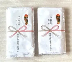 2枚どうぞ 記念タオル 智辯学園和歌山高等学校 甲子園出場記念タオル
