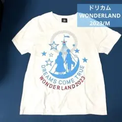 2026年最新】ドリカムツアーTシャツの人気アイテム - メルカリ