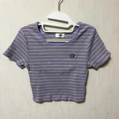 EVRIS エヴリス　ショート丈Tシャツ
