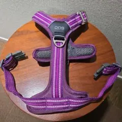 Item thumbnail for item 3a380188-43d7-4c73-aded-6aabba95c0fc