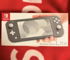 Nintendo Switch Lite グレー 本体 ジャンク　箱　充電器付き