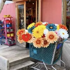 Item thumbnail for item e45f4b48-4fff-49b8-bf22-2d283e42b027