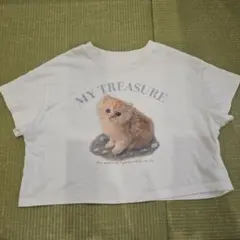子猫プリント Tシャツ ホワイト