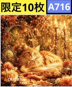 限定10枚！ 猫 にゃんこ 子猫 レアパネル生地　無くなり次第終了です