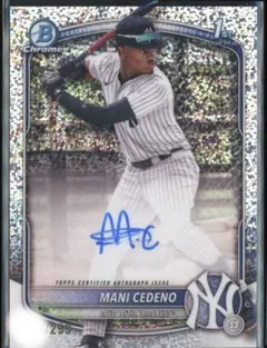マディセデーニョ 2025 topps bowman MLB 直筆サイン - メルカリ
