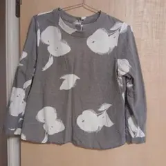 パレスパラス