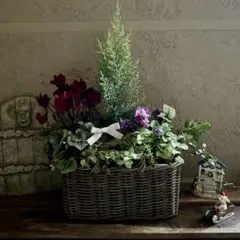 Asami様 リクエスト 3点 まとめ商品