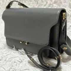 MARNI マルニ ショルダーバッグ トランク ゴールド金具 斜めがけ レザーのサムネイル