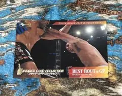 PRIDEカードコレクション BEST BOUT ヴァンダレイシウバvsアローナ