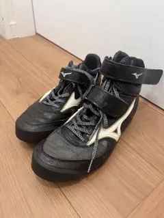 フィールドジオJTミズノ
