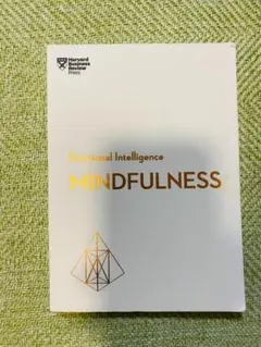 Emotional Intelligence: Mindfulness