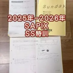 漢字スプロケットプリンター sp320 スター精密 - メルカリ