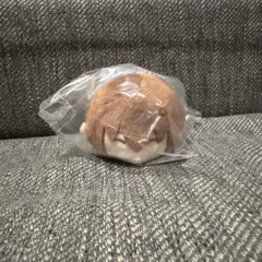 新テニスの王子様 もちもちマスコット もちマス vol.1 不二周助