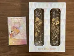 東京ディズニーリゾート ミッキー＆ミニーグラスセット&キーホルダー