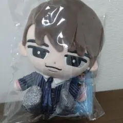 SnowManぬいぐるみ　すのチル　BIGぬい　 渡辺翔太