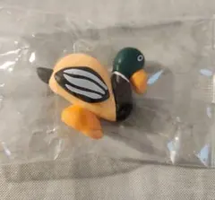 DAISUKE KONDO アートコレクション2 かも