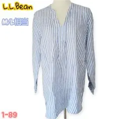 美品L.L.Beanストライプ長袖チュニック M/Lブラウス長袖シャツ水色白色