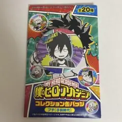 ヒロアカ　天喰環　コレクション缶バッジ