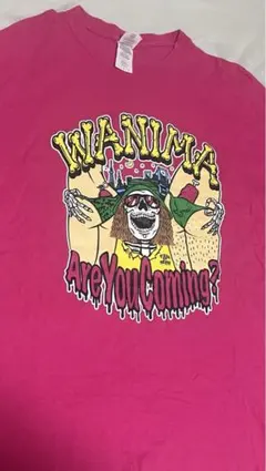 WANIMA Tシャツ AreYouComing? Lサイズ