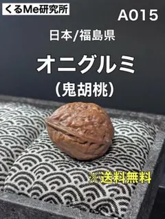 2026年最新】オニグルミ 苗の人気アイテム - メルカリ