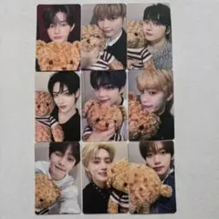 zb1 yizhiyu 一直娱 くま特典 トレカ 9枚コンプセット　全員 2