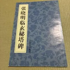 張暁明臨玄秘塔碑 書道資料