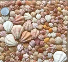 Item thumbnail for item f2c90e87-d73b-4761-b8ab-7a6a812ae2e0