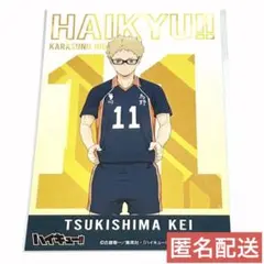 【月島蛍】ハイキュー!! 特典 ビジュアルカード