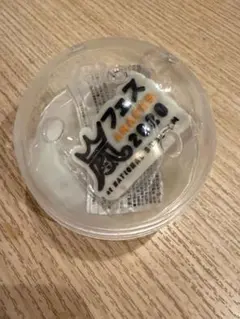 嵐　ロゴマグネット（カプセル付）アラフェス　2020