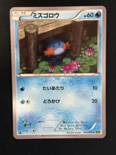 ミズゴロウ C XY5 タイダルストーム 012/070