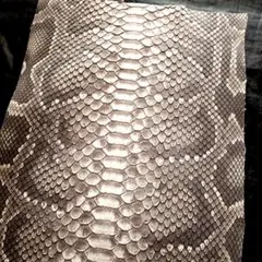 Item thumbnail for item cc3fab41-6c44-41ca-b82f-0de0c4bf392e