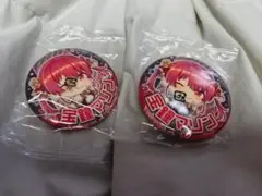 宝鐘マリン　缶バッジ 2個セット