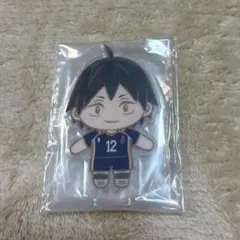 ハイキュー セガラッキーくじ D賞 アクスタ 山口忠