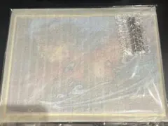 鬼滅の刃 webshop くじ A賞 ビッグレイヤードア クリルパネル 冨岡義勇