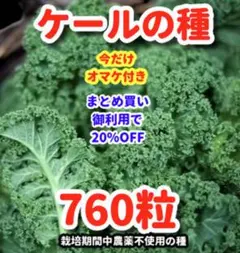 猫様 リクエスト 2点 まとめ商品