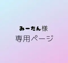 みーたん様専用ページ