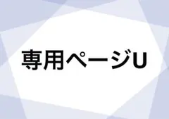 専用ページU