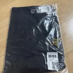 アークテリクス　クラッグコットンロゴSS