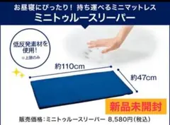 ミニトゥルースリーパー ごろ寝マット マットレス