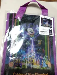 Disney Fantasy Springs レジャーシート バッグ付き - メルカリ