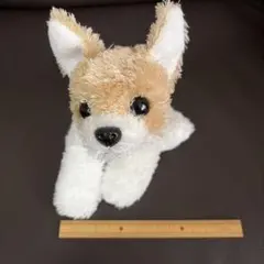 ぬいぐるみの三英 たぬき ぬいぐるみ 昭和レトロ - メルカリ