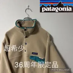 希少 美品 L パタゴニア Patagonia スナップT シンチラ フリース 2025年最新】36周年スナップtの人気アイテム - メルカリ