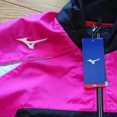 Item thumbnail for item 990ed464-d3c4-4717-b501-6166e08420b1