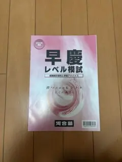2026年最新】河合模試 2024の人気アイテム - メルカリ