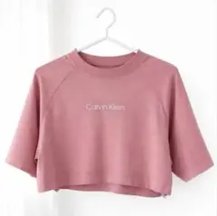 Calvin Klein ピンク 半袖 レディースTシャツ カットソー トップス