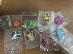 ポケコイン ブイズ 8種 ※単品買い可