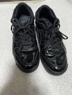 Item thumbnail for item acf8d1bf-e3ef-4805-b908-5200422cf61c