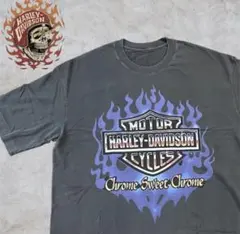 Harley-Davidson プリントTシャツヴィンテージ加工ノーブランド商品